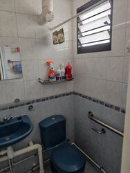 Blk 309 Clementi Meadows (Clementi), HDB 3 Rooms #542139511